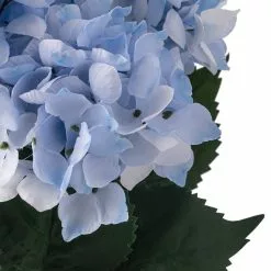 Hot Sale ???? 12 Pack: Light Blue Hydrangea Bush by Ashland® ???? -Ashland Sales 10677452 20