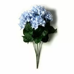 Best reviews of ???? Light Blue Hydrangea Bush by Ashland® ???? -Ashland Sales 10677452 21 1