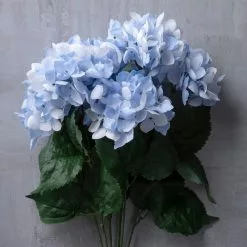 Best reviews of ???? Light Blue Hydrangea Bush by Ashland® ???? -Ashland Sales 10677452 22 1