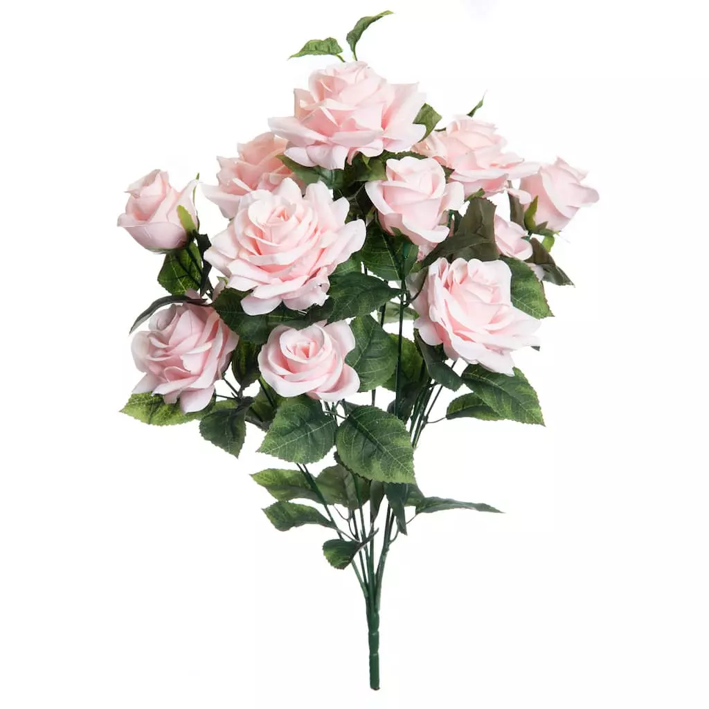 New ???? 12 Pack: Pink Rose Bush by Ashland® ???? 3 New ???? 12 Pack: Pink Rose Bush by Ashland® ????