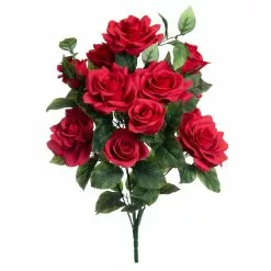Promo ???? Red Rose Bush by Ashland® ????