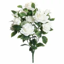 Best Pirce ✨ 12 Pack: White Rose Bush by Ashland® ????
