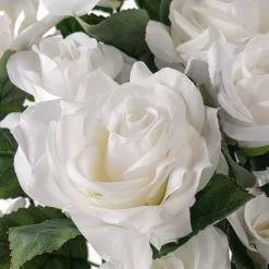 Best reviews of ???? White Rose Bush by Ashland® ❤️ -Ashland Sales 10677458 20