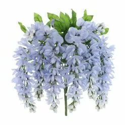 Top 10 ???? 12 Pack: Blue Wisteria Bush by Ashland® ????
