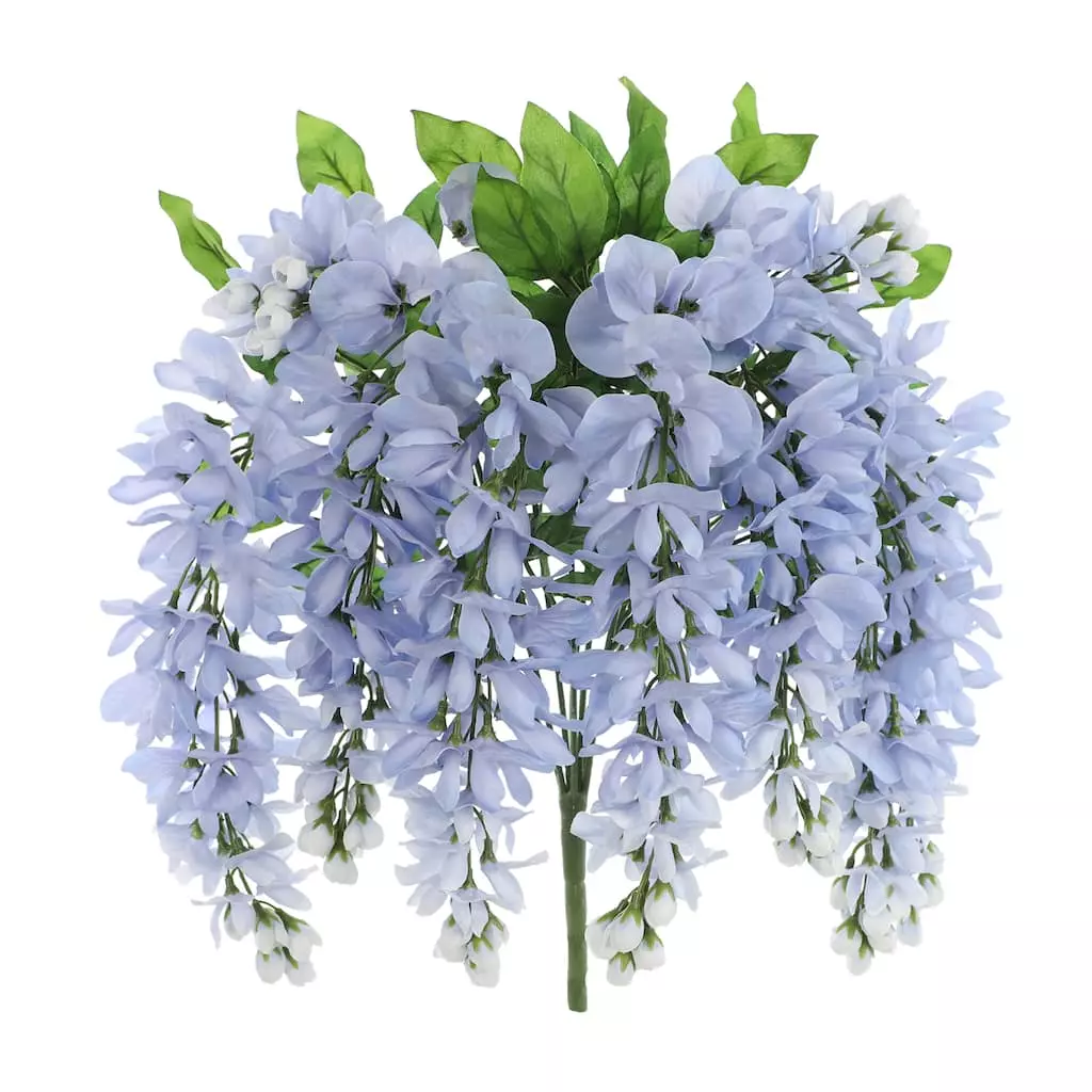 Top 10 ???? 12 Pack: Blue Wisteria Bush by Ashland® ???? 3 Top 10 ???? 12 Pack: Blue Wisteria Bush by Ashland® ????