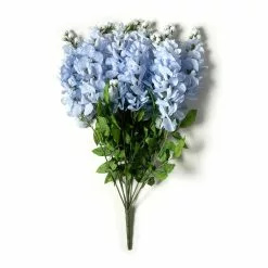 Top 10 ???? 12 Pack: Blue Wisteria Bush by Ashland® ???? 15 Top 10 ???? 12 Pack: Blue Wisteria Bush by Ashland® ???? -Ashland Sales 10677460 21 1