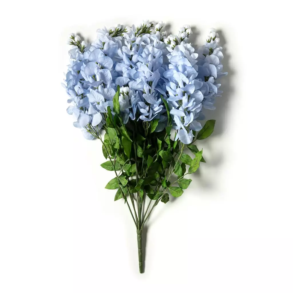 Top 10 ???? 12 Pack: Blue Wisteria Bush by Ashland® ???? 9 Top 10 ???? 12 Pack: Blue Wisteria Bush by Ashland® ???? - Image 7