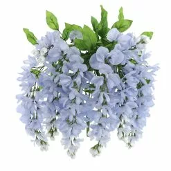 Top 10 ???? 12 Pack: Blue Wisteria Bush by Ashland® ???? 14 Top 10 ???? 12 Pack: Blue Wisteria Bush by Ashland® ???? -Ashland Sales 10677460 5 1