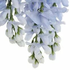 Top 10 ???? 12 Pack: Blue Wisteria Bush by Ashland® ???? 11 Top 10 ???? 12 Pack: Blue Wisteria Bush by Ashland® ???? -Ashland Sales 10677460 6 1