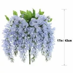 Top 10 ???? 12 Pack: Blue Wisteria Bush by Ashland® ???? 12 Top 10 ???? 12 Pack: Blue Wisteria Bush by Ashland® ???? -Ashland Sales 10677460 7 1