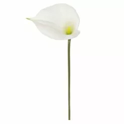 Outlet ???? White Calla Lily Stem by Ashland® ???? 9 Outlet ???? White Calla Lily Stem by Ashland® ???? -Ashland Sales 10679176 2