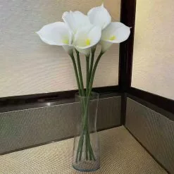 Outlet ???? White Calla Lily Stem by Ashland® ???? 11 Outlet ???? White Calla Lily Stem by Ashland® ???? -Ashland Sales 10679176 4