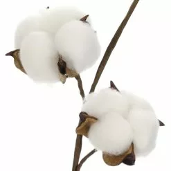 Coupon ⌛ Cotton Stem by Ashland® ???? -Ashland Sales 10679177 2