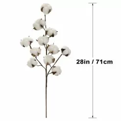 Coupon ⌛ Cotton Stem by Ashland® ???? -Ashland Sales 10679177 3