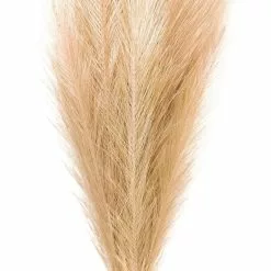 Budget ❤️ Wispy Pampas Grass Stem by Ashland® ✨ -Ashland Sales 10679178 2