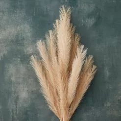 Budget ❤️ Wispy Pampas Grass Stem by Ashland® ✨ -Ashland Sales 10679178 20