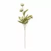 Wholesale ⌛ Cream Peony Stem by Ashland® ✔️ -Ashland Sales 10679180 1