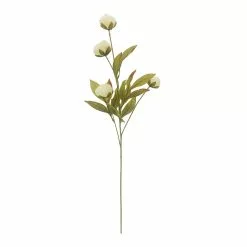 Wholesale ⌛ Cream Peony Stem by Ashland® ✔️