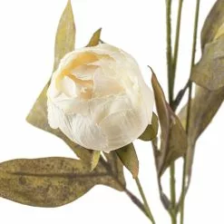 Wholesale ⌛ Cream Peony Stem by Ashland® ✔️ -Ashland Sales 10679180 20