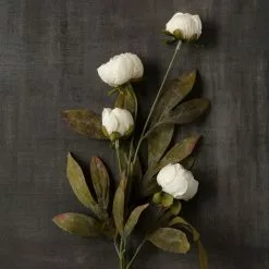 Wholesale ⌛ Cream Peony Stem by Ashland® ✔️ -Ashland Sales 10679180 25