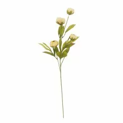 Deals ???? Tan Peony Stem by Ashland® ????