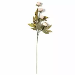 Deals ???? Tan Peony Stem by Ashland® ???? -Ashland Sales 10679183 21