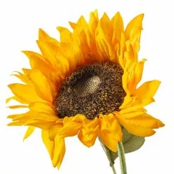 Discount ???? Gold Sunflower Stem by Ashland® ???? -Ashland Sales 10679186 20