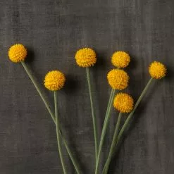 Outlet ???? Yellow Billy Ball Stem by Ashland® ???? -Ashland Sales 10679191 25