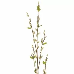 Hot Sale ⭐ Cream Willow Branch Stem by Ashland® ???? -Ashland Sales 10679192 2