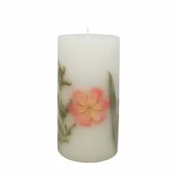 Best reviews of ???? Home Fragrance Collection 3" x 6" Peony & Rose Scented Pillar Candle by Ashland® ????