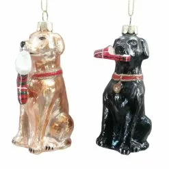 Discount ???? Assorted 4" Glass Lab ???? Dog Ornament by Ashland® ❄ Christmas ⭐