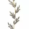 Buy ???? 5ft. Champagne Bay Leaves Coiled Garland by Ashland® ????