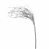 Budget ???? Silver Grass Pick by Ashland® ✨