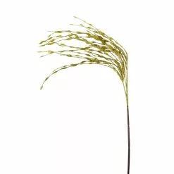 Flash Sale ❤️ Gold Grass Pick by Ashland® ⌛