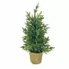 Best reviews of ???? 18" ???? Christmas Tree Tabletop Accent in Rattan Pot by Ashland® ????