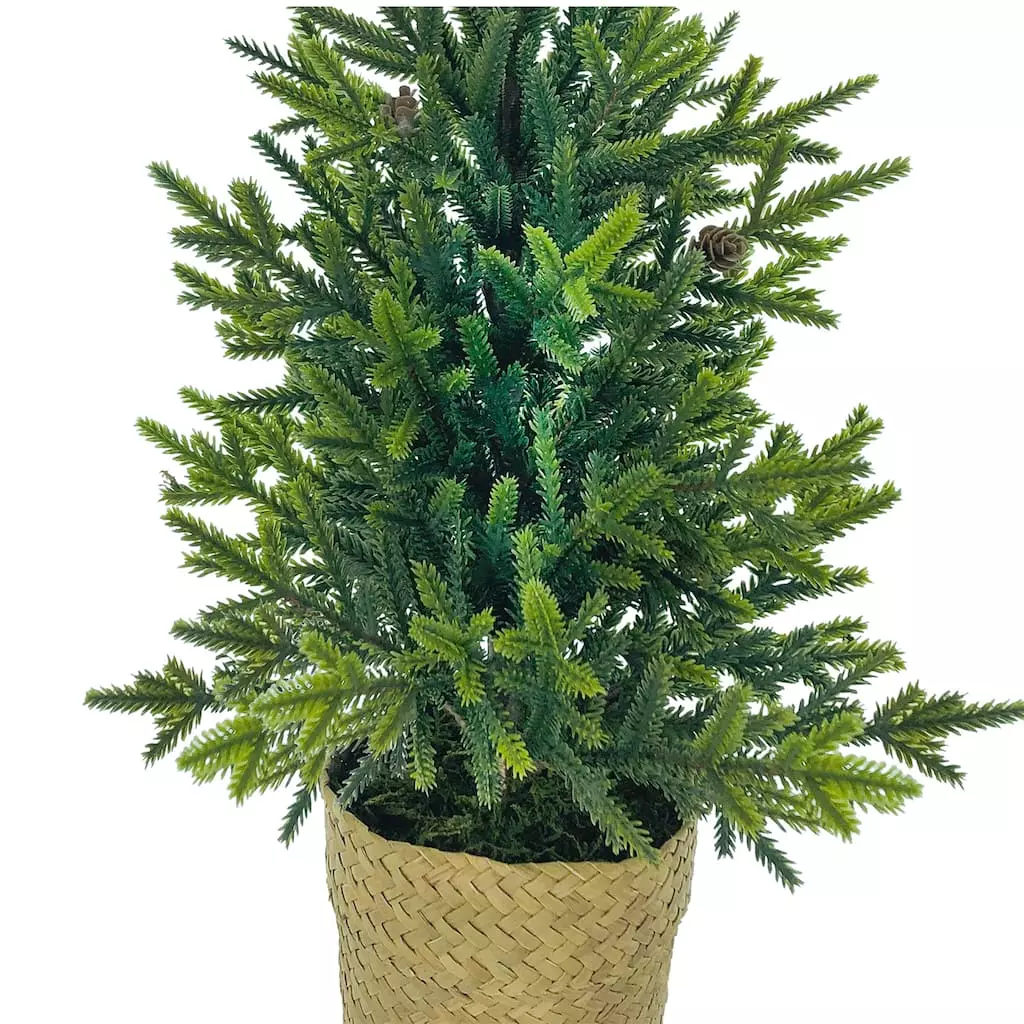 Best reviews of ???? 18" ???? Christmas Tree Tabletop Accent in Rattan Pot by Ashland® ???? 4 Best reviews of ???? 18" ???? Christmas Tree Tabletop Accent in Rattan Pot by Ashland® ???? - Image 2