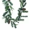 Promo ???? 6ft. Snow Pine with Blueberries Garland by Ashland® ⭐