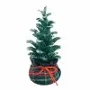 Top 10 ✔️ 8'' Small ???? Christmas Tree with Base Tabletop Décor by Ashland® ???? 1 Top 10 ✔️ 8'' Small ???? Christmas Tree with Base Tabletop Décor by Ashland® ???? -Ashland Sales 10699561 1