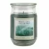 Deals ❤️ Midnight Forest Scented Jar Candle by Ashland® ???? -Ashland Sales 10699741 1