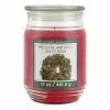 Brand new ???? Mistletoe & Holly Scented Candle Jar by Ashland® ????