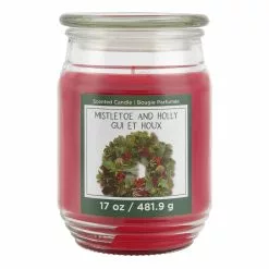 Brand new ???? Mistletoe & Holly Scented Candle Jar by Ashland® ????