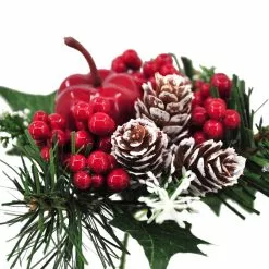 Top 10 ???? Apple & Berry Pick by Ashland® ???? -Ashland Sales 10700123 4