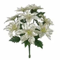 Cheap ???? Champagne Poinsettia Bush by Ashland® ????