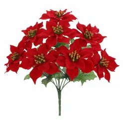 Cheap ✔️ Red Poinsettia Bush by Ashland® ????