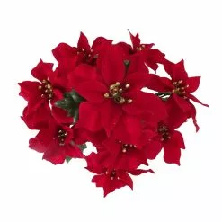 Cheap ???? Crimson Poinsettia Bush by Ashland® ???? 5 Cheap ???? Crimson Poinsettia Bush by Ashland® ???? -Ashland Sales 10700141 2
