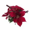 Buy ???? Burgundy Berry, Pinecone & Poinsettia Mixed Bush by Ashland® ✔️