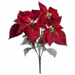 Best Pirce ???? Dark Red Velvet Poinsettia Bush by Ashland® ????
