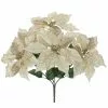 Promo ???? Champagne Poinsettia Bush by Ashland® ????