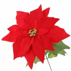 Cheapest ???? Red Poinsettia Bush by Ashland® ???? -Ashland Sales 10700151 3