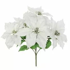 Best deal ???? Cream Poinsettia Bush by Ashland® ????